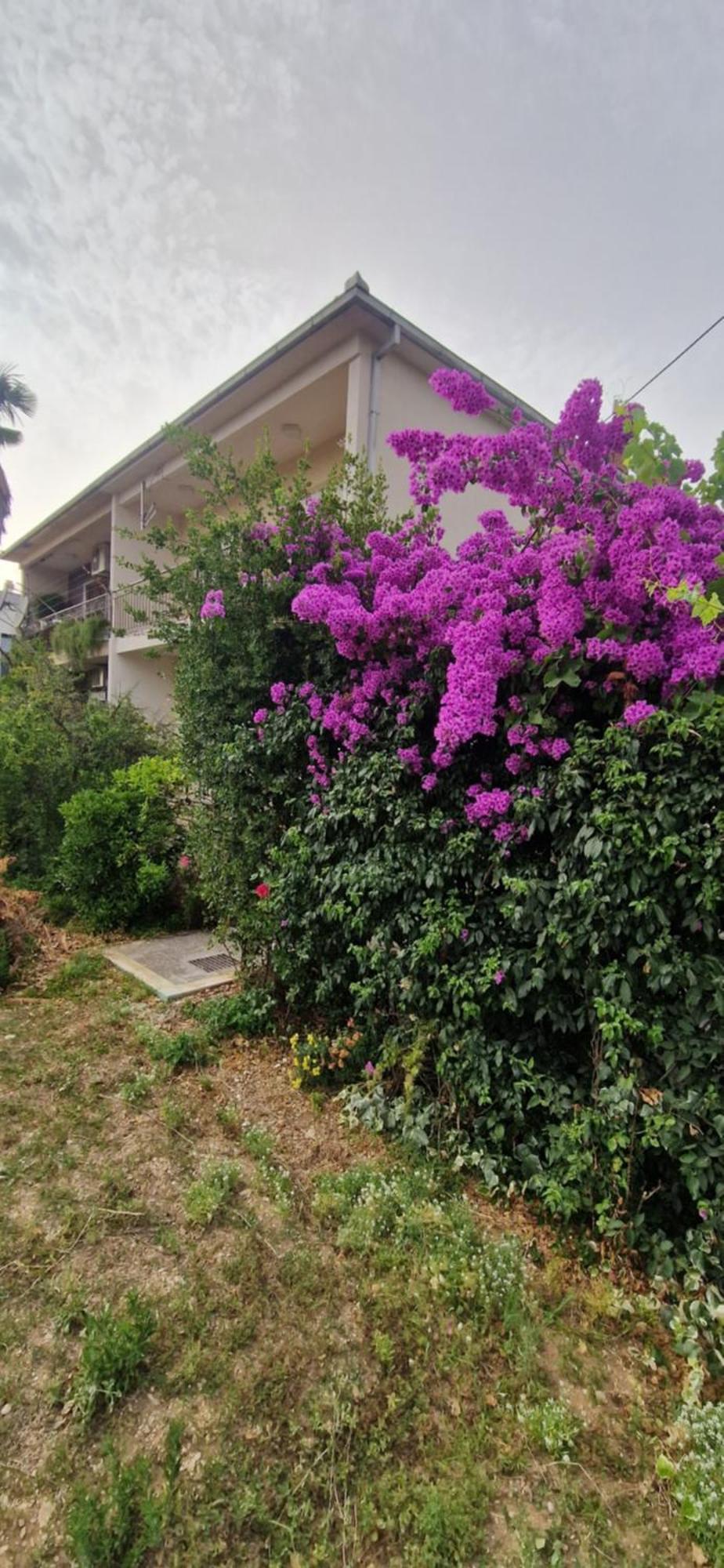 Appartamento Croatia Trogir, 4 Rooms, Pool 4km Traù